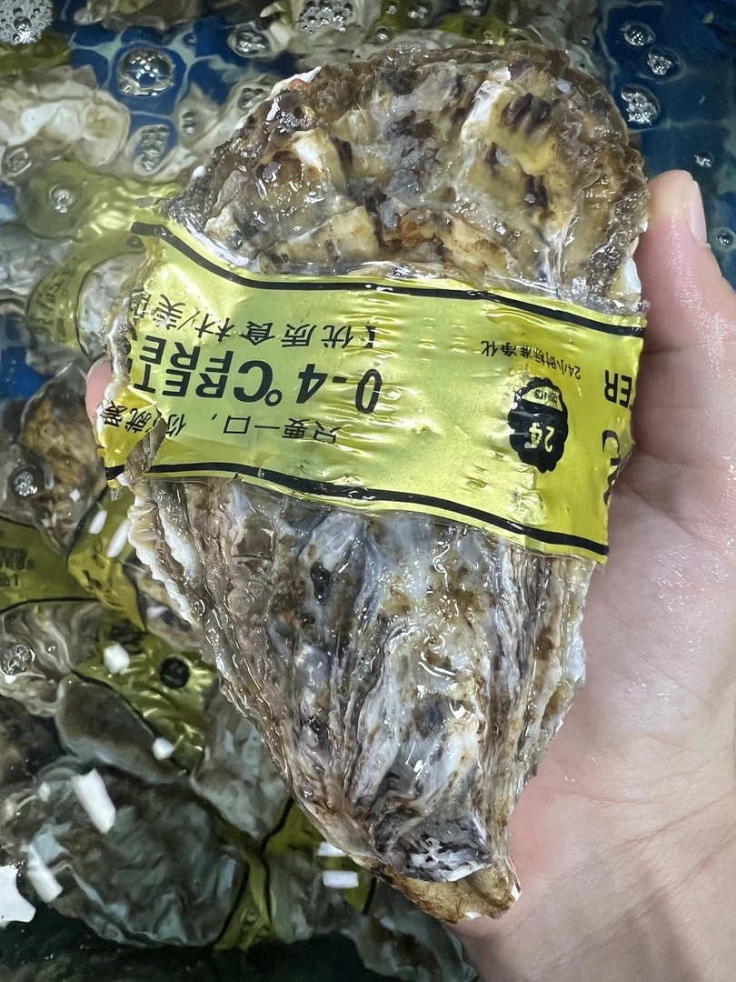 乳山特大生蚝5+/个