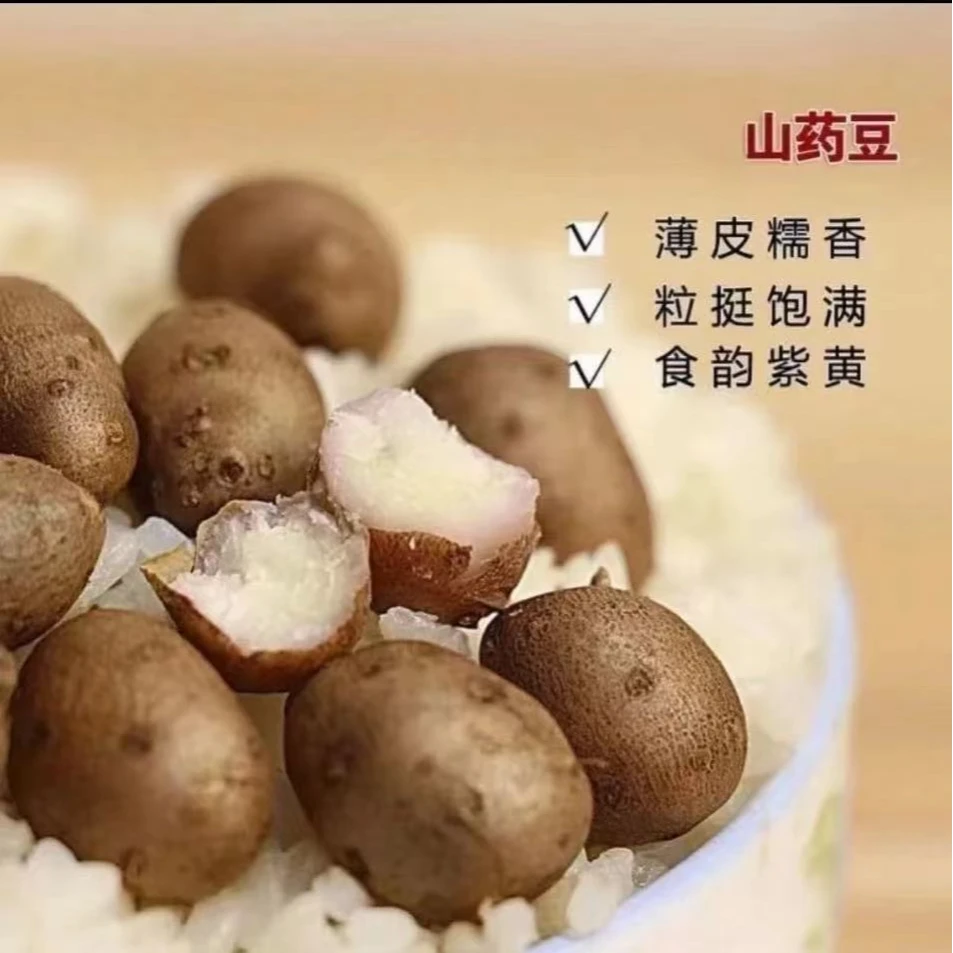 山药豆 蠡县铁棍麻山药豆新鲜产地直发熬粥蒸煮软糯香甜5斤装中果