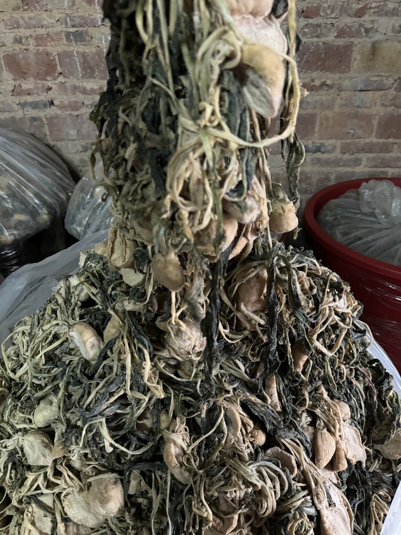 2025年新鲜信宜大成新鲜农家手工大头菜干（5-6成干）咸菜下饭