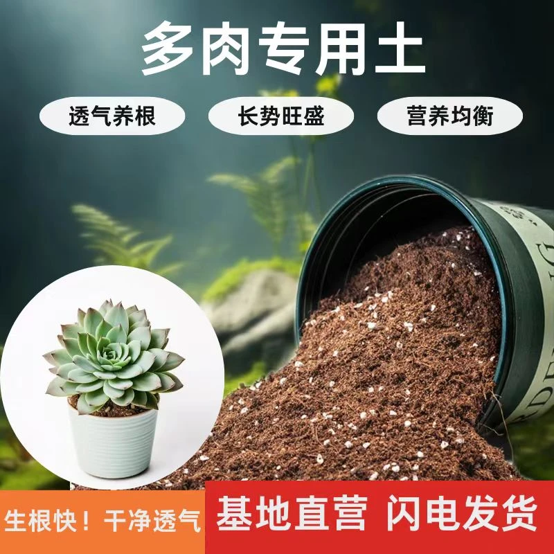 【营养土】多肉植物专用营养土  控型控色 透气疏松 拒绝板结