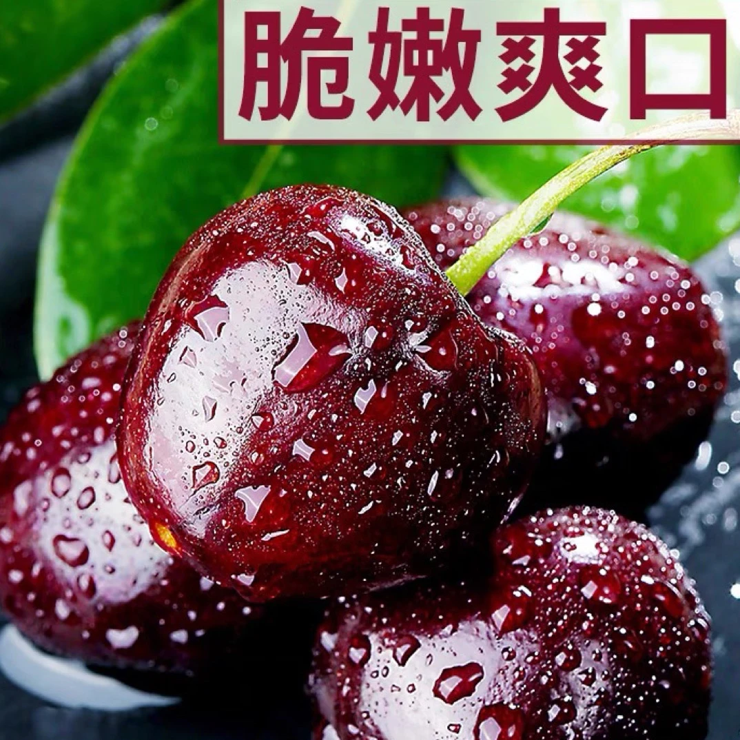 【年货节】智利车厘子1JD Prize 拉宾斯5斤 原箱 顺丰京东直发