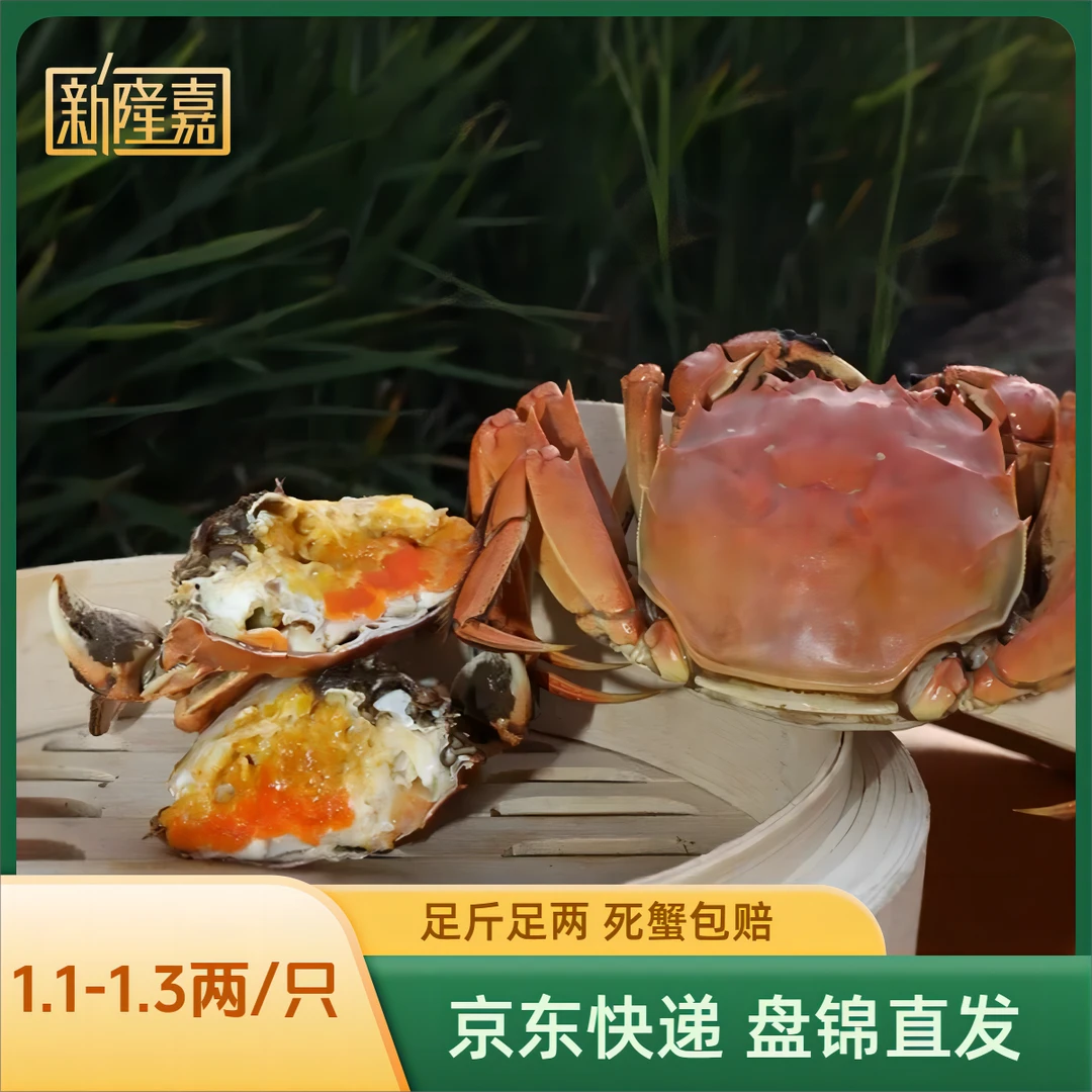 【嘉选】盘锦稻田河蟹 母蟹单只1.1-1.3两  2斤/3斤 盘锦京东直发