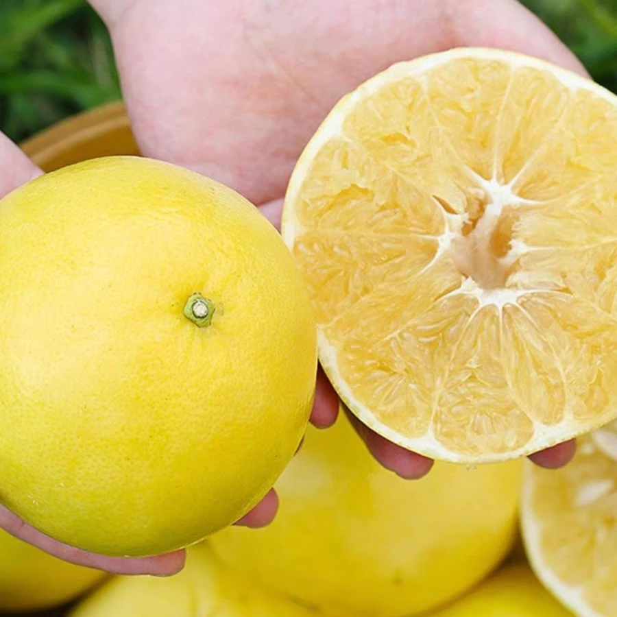 【嘉选】葡萄柚2箱8斤8-12粒 顺丰包邮