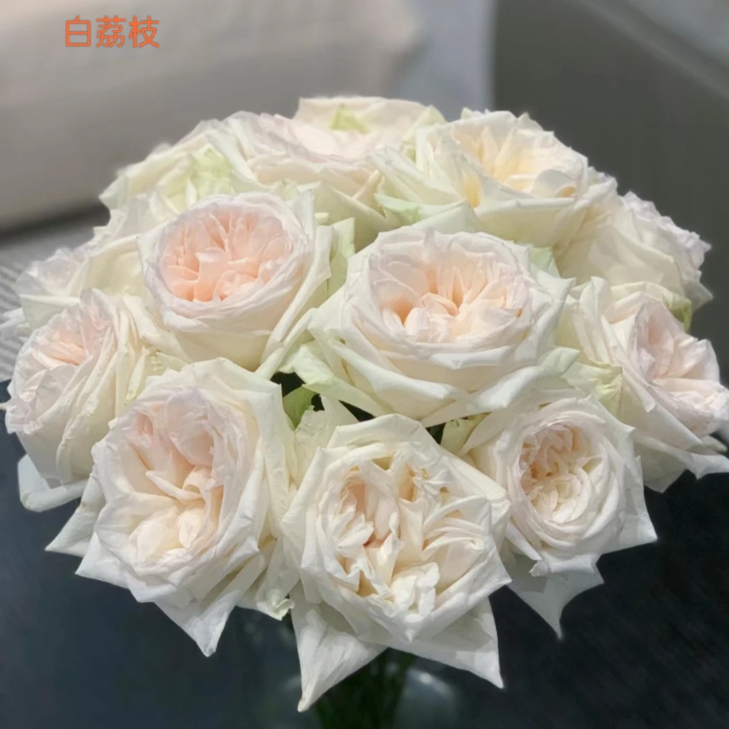 【单头玫瑰】蔓越莓20支+白荔枝20支(农户花,有夹枝,20%耗损不售后)