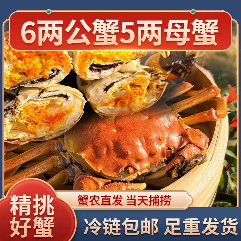 公蟹6两 母蟹5两 【活蟹】大闸蟹  4只 6只 8只+送2只鲜活螃蟹礼盒