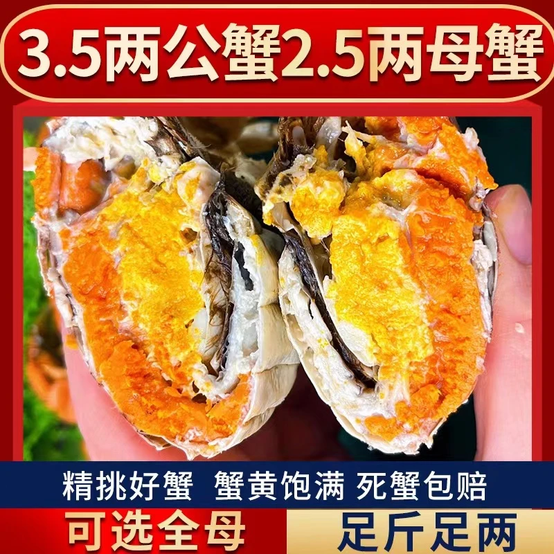 澄端活蟹 大闸蟹公蟹3.5两 母蟹2.5两 6只 8只 +送2只 鲜活大闸蟹