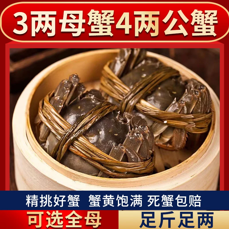 澄端【活蟹】大闸蟹公蟹4两 母蟹3两 6只 8只+送2只 现货螃蟹礼盒装