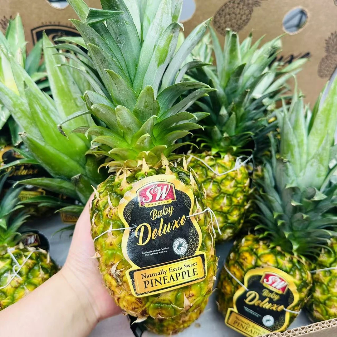 【顺丰包邮】进口菲律宾sw蜂蜜黑金凤梨 新鲜水果  甜蜜多汁