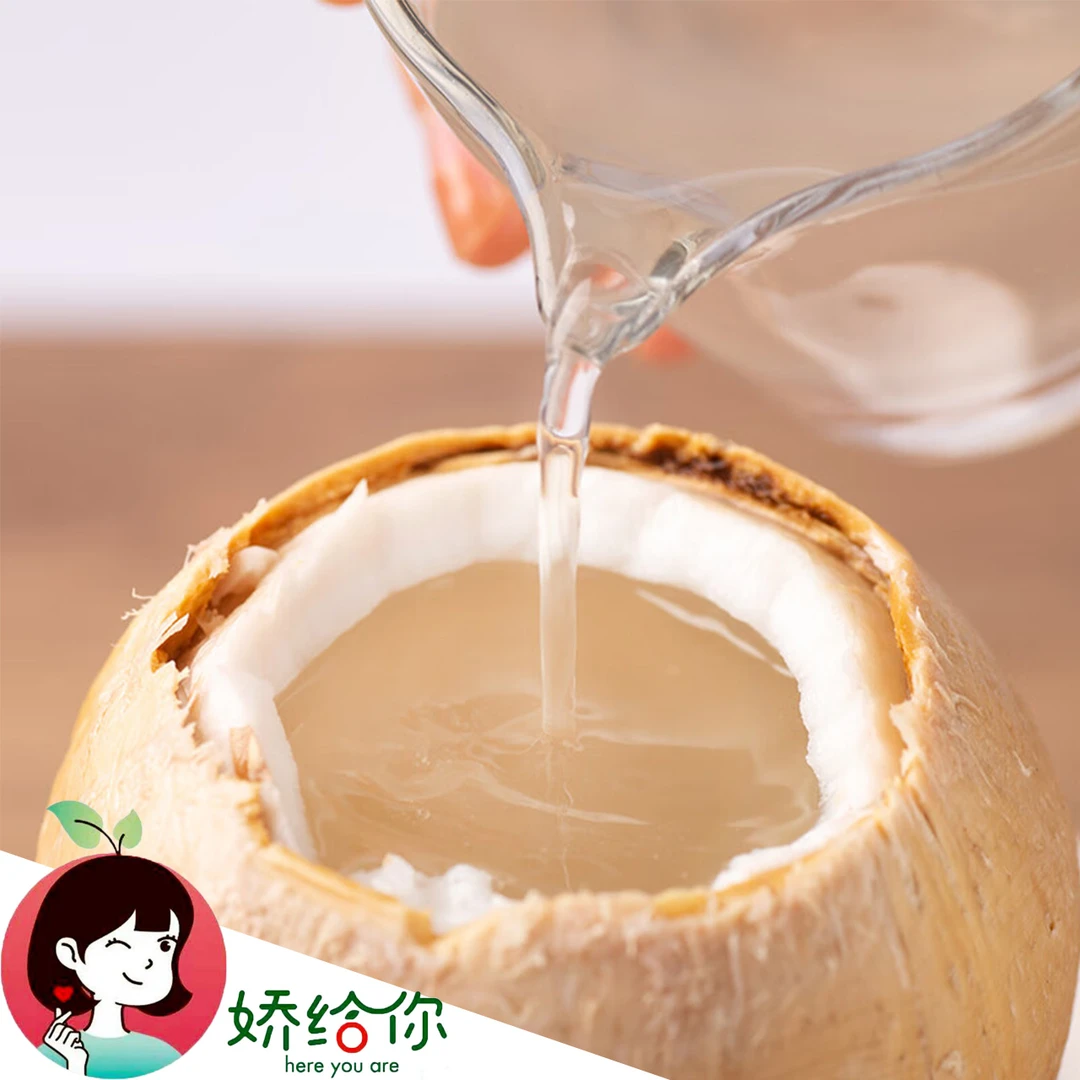 【顺丰包邮】泰国季节限量奶椰宝宝6-10粒奶香椰皇 清甜爽口