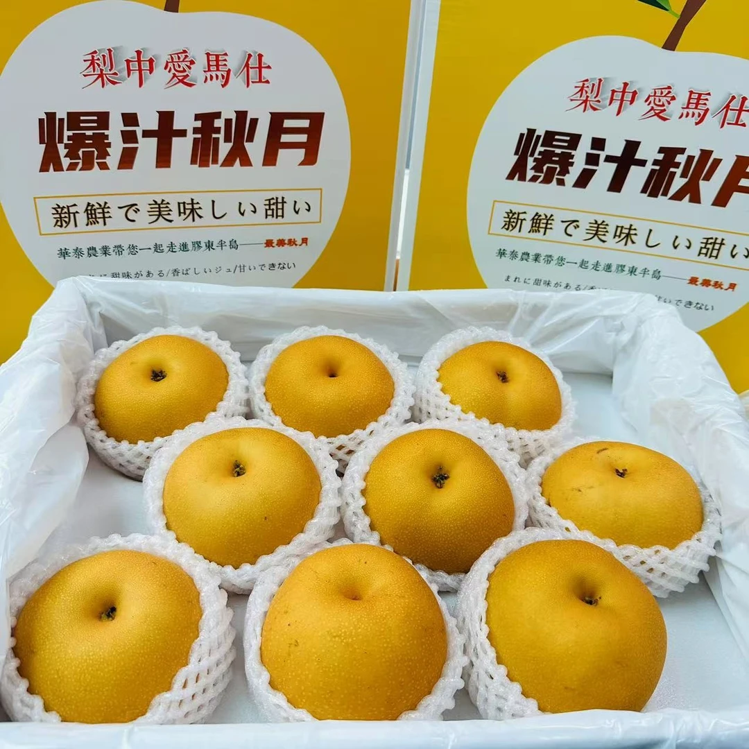 【顺丰包邮】山东莱阳梨秋月梨9-10粒装大果纯甜无渣高端送礼7斤