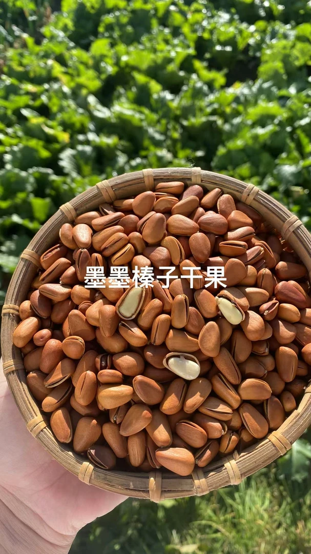 930颗粒东北开口红松籽/1-10斤红松子松仁新鲜干果新货即食