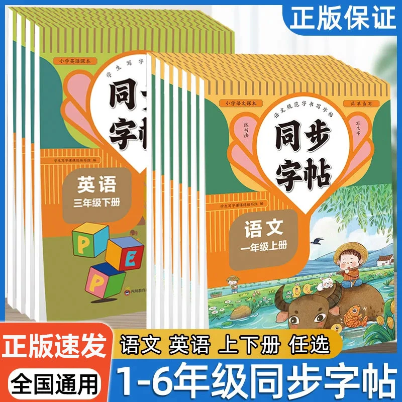 同步字帖  生字每日一练 语文英语临摹初学者练字神器同步写字帖