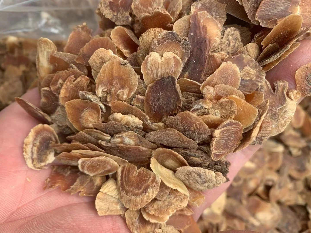 宝贝家高丽参头尾片小片滋补品