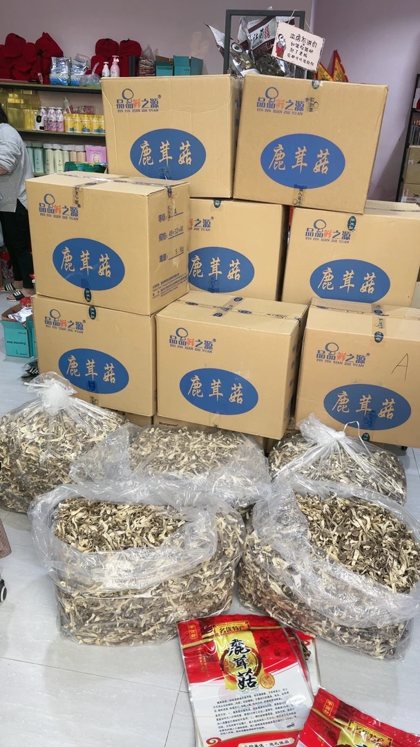 宝贝家 鹿茸菇一包一斤