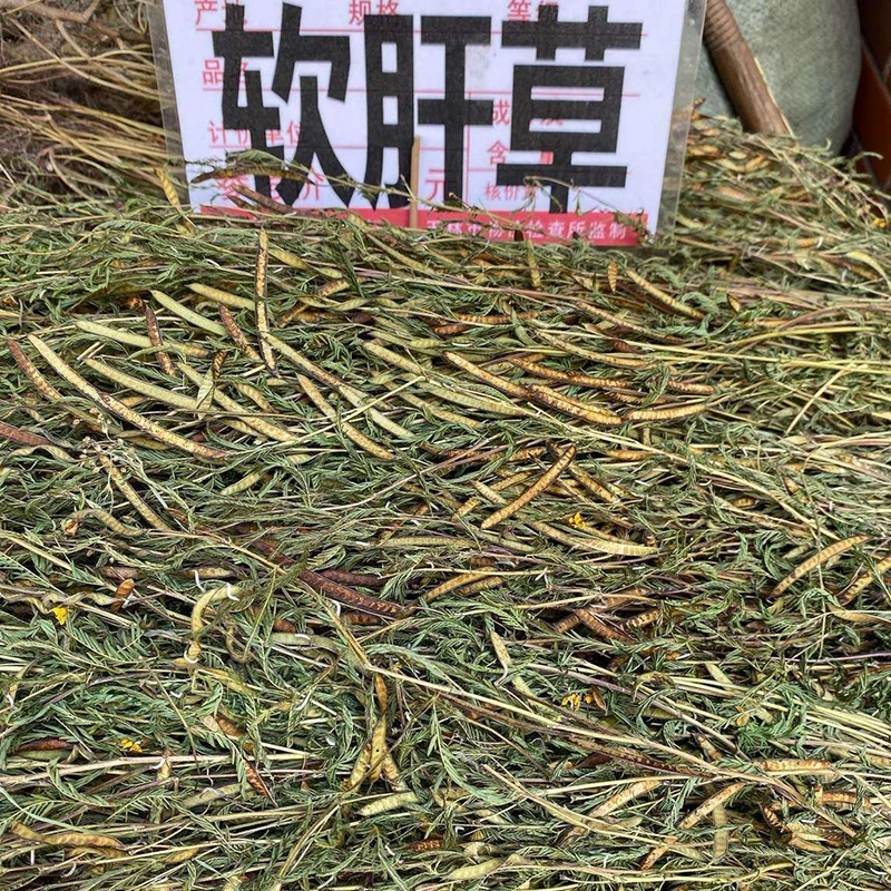广西软肝草新货软肝草铁甲草益肝草整株晒干250g-500g包邮益母草