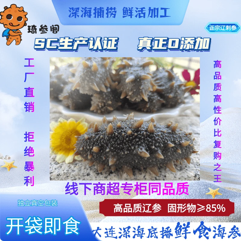 深海底播大连鲜食海参 国标0添加高滋补专柜品质工厂价6-25头