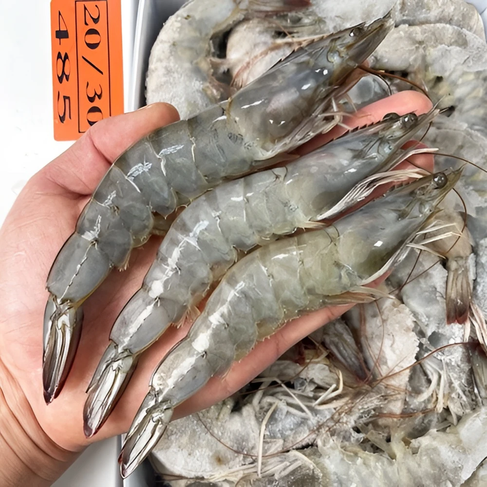 厄瓜多尔白虾盐冻虾20-30每盒3.3斤净重