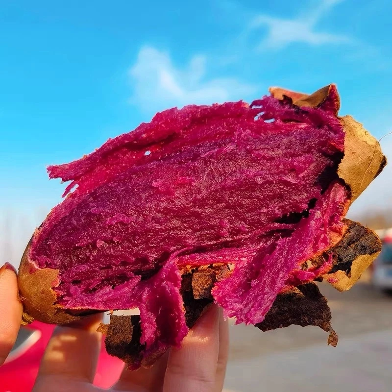 紫晶宝宝！！薯拇指薯彰武红薯5斤装包邮