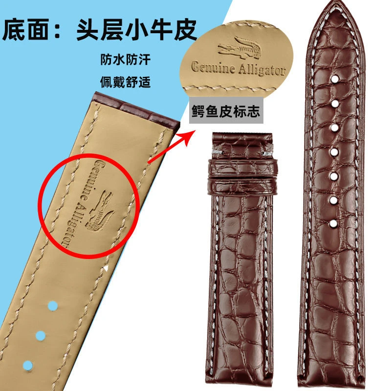 保真美洲鳄鱼皮表带适配各品牌手表表带高端真皮男女平口通用20mm