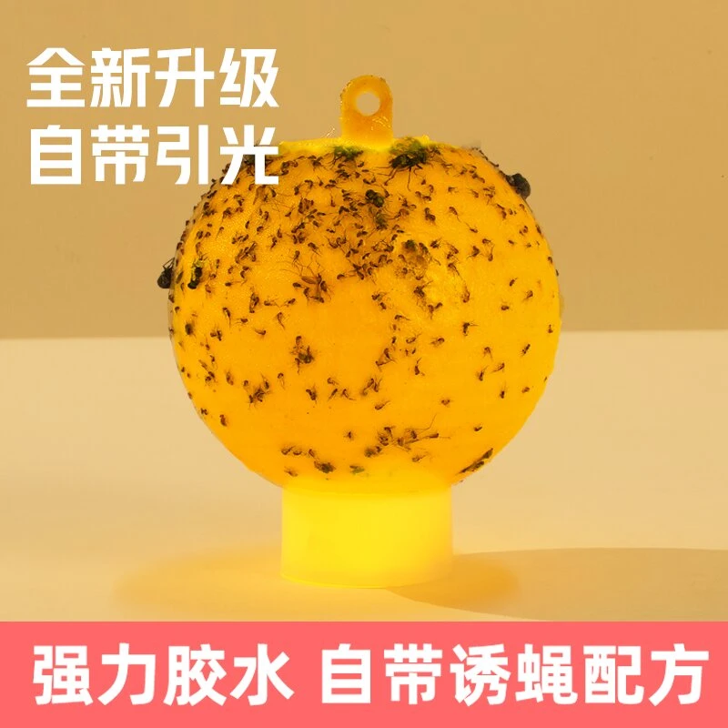诱蝇球柑橘大实蝇诱捕球瓜果树针蜂诱虫球诱捕器果蝇粘虫大食蝇球