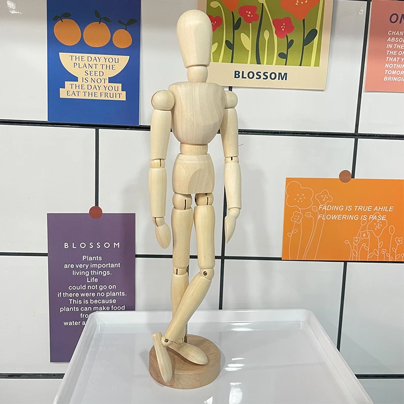 YZ木质男女木偶人手模灵活体可动关节木头人模型摆件
