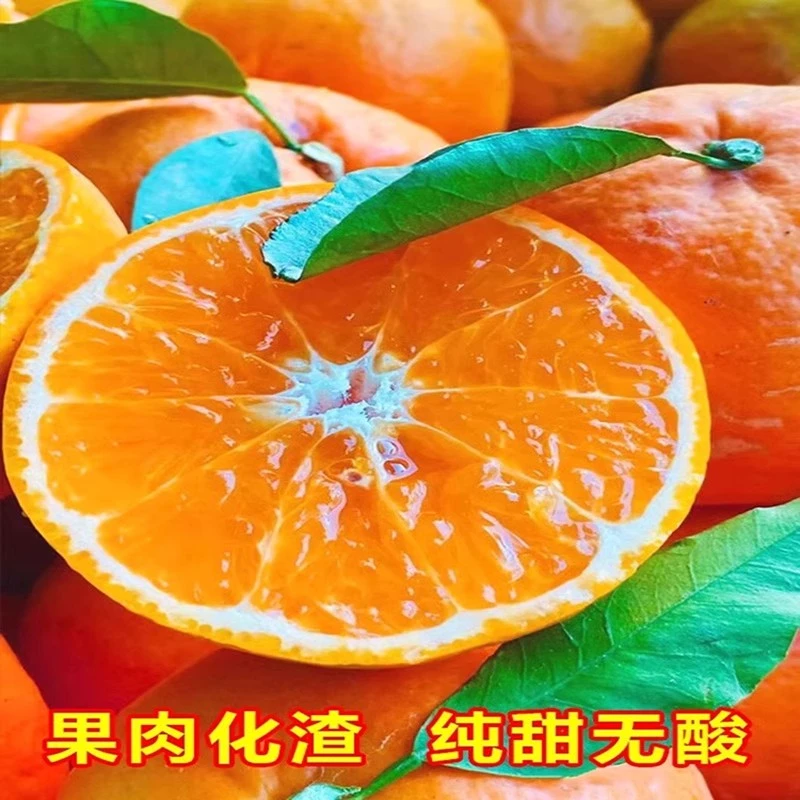[精品果]正宗武鸣沃柑5斤/9斤皮薄多汁新鲜采摘自然成熟精品沃柑