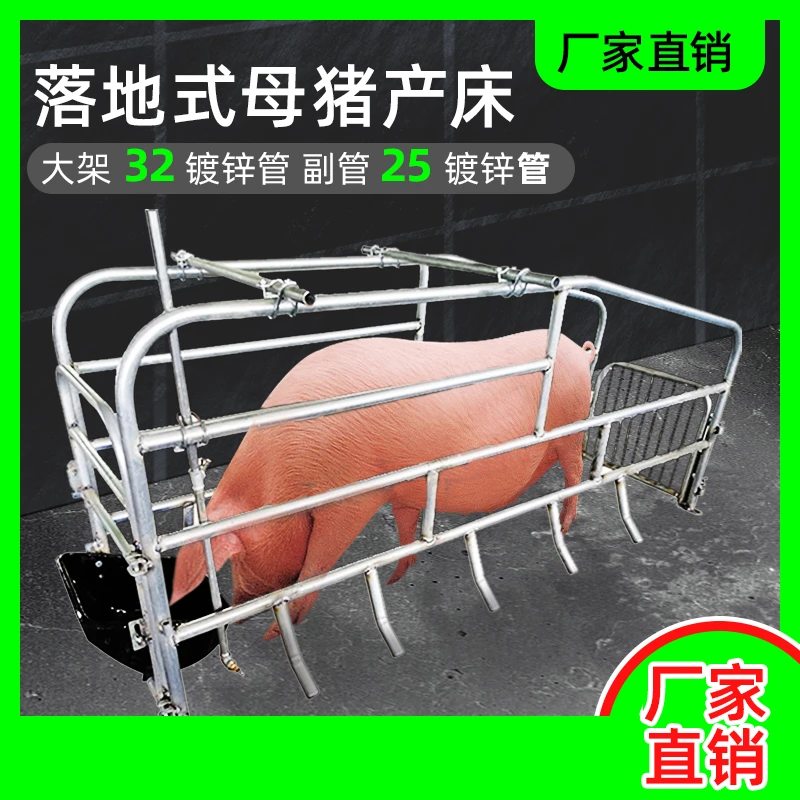 落地式母猪产床单体母猪位母猪限位栏简易式产床保育两用母猪设备