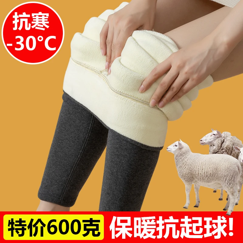 特价纯棉打底裤外穿加绒加厚保暖裤高腰抗寒一体东北特厚棉裤女冬