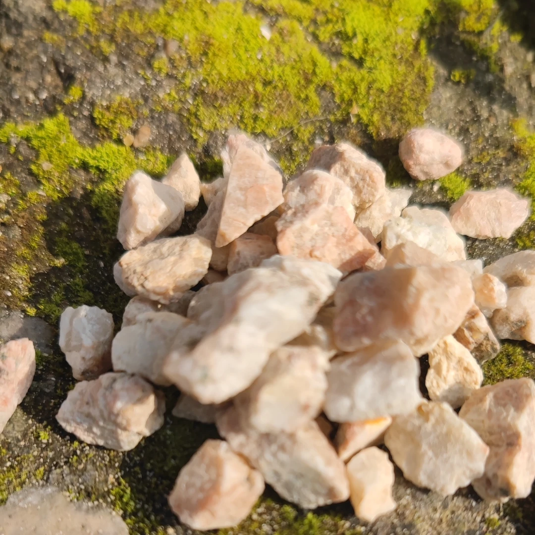 鱼池锦鲤池景观池净水池调水过滤材料稳定PH玻璃环珊瑚沙活性碳