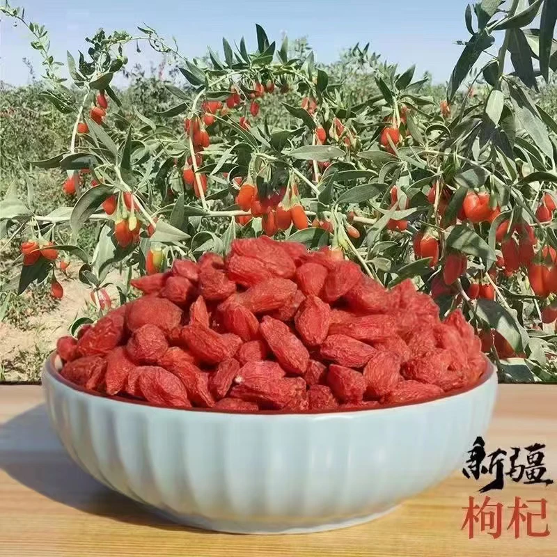 新疆和田红枸杞1斤