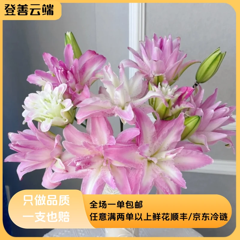 【水蜜桃】精选水蜜桃重瓣百合家居鲜花观赏云南鲜花鲜切花