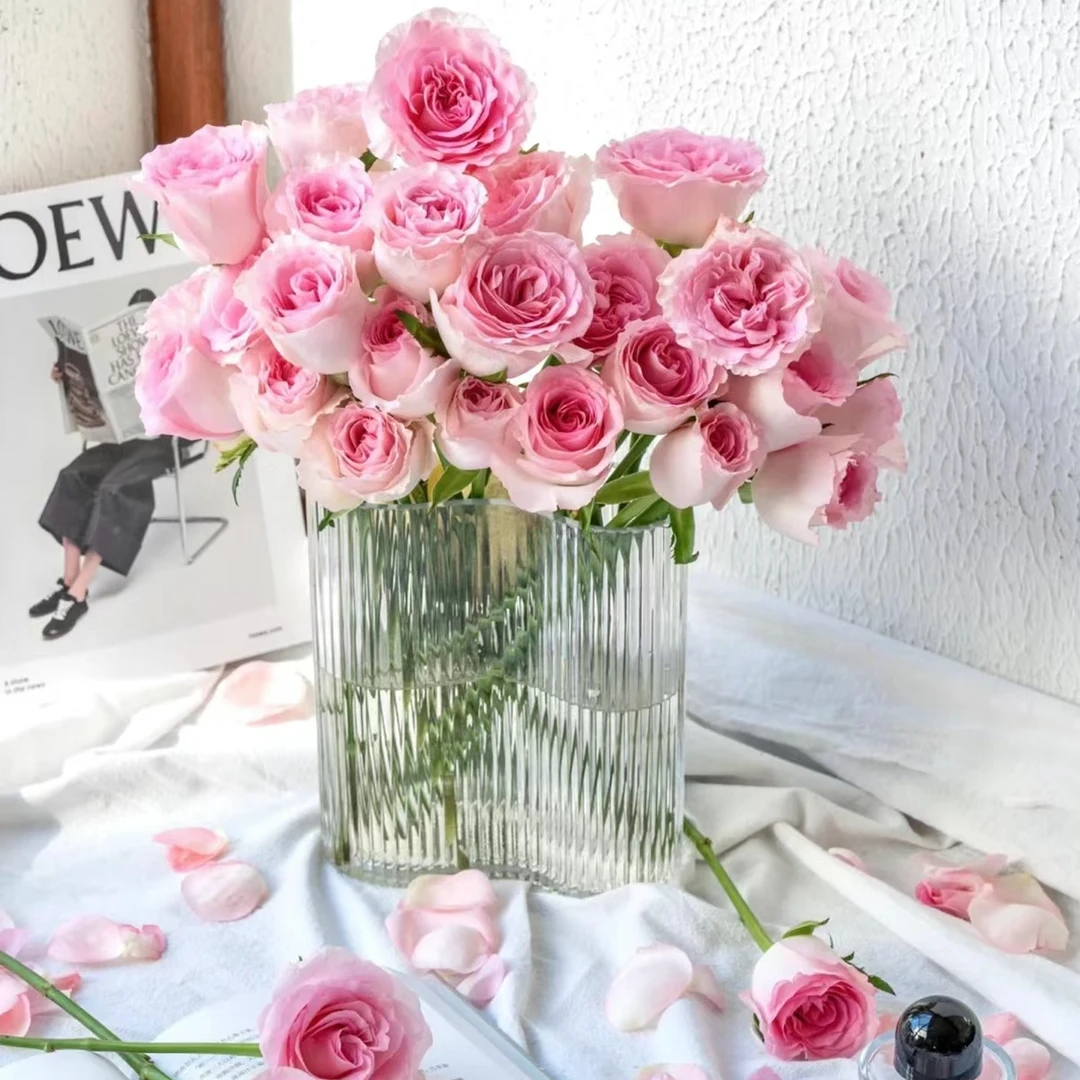 【登善云端】洛神单头玫瑰花水培鲜花云南昆明鲜花直发云南鲜花
