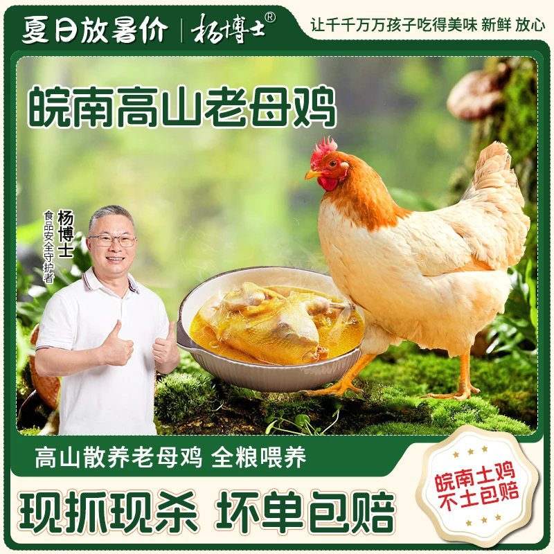 杨博士土鸡皖南高山散养现抓现杀老母鸡净重1.8斤以上新鲜高品质
