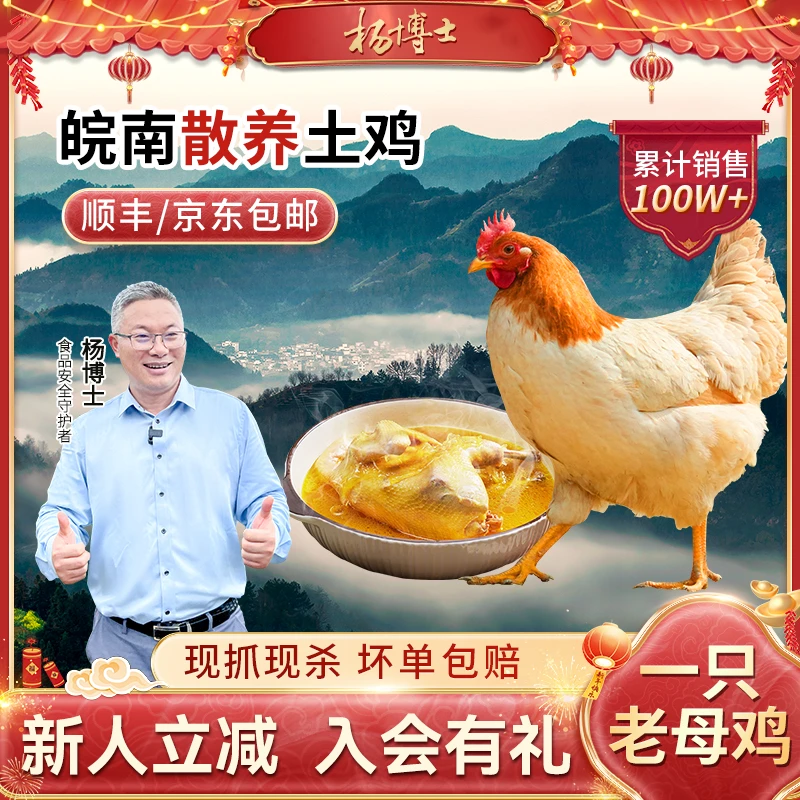 【满屋飘香老母鸡】杨博士土鸡皖南高山散养土鸡老母鸡生鲜新鲜健康
