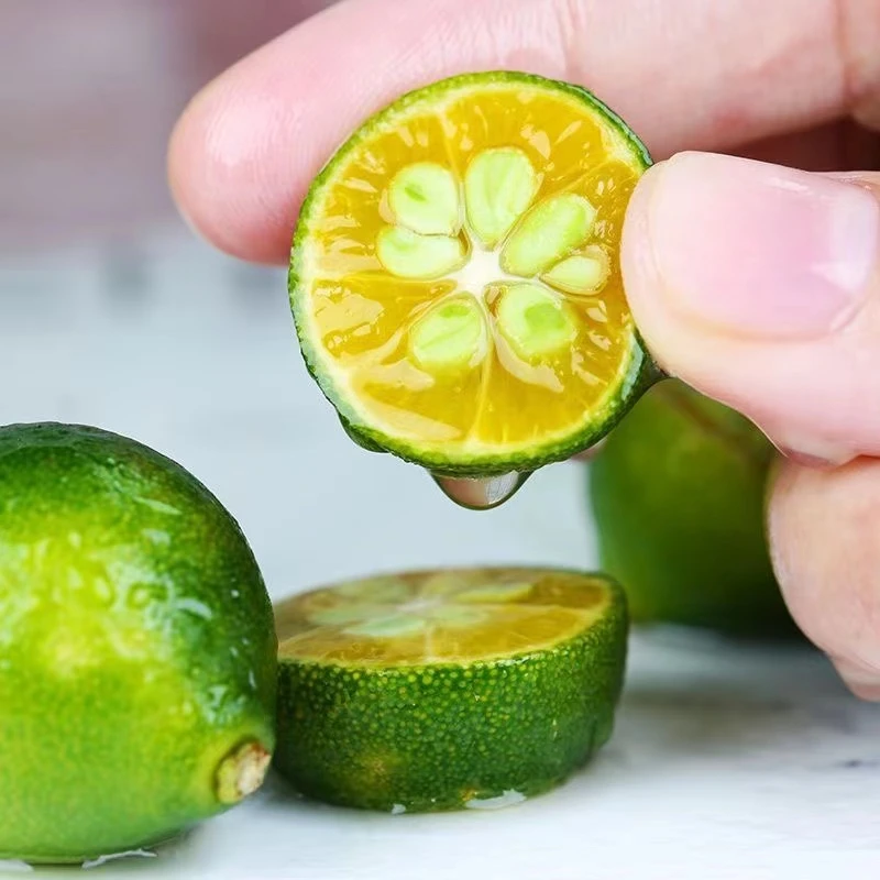 当季小青柠  薄皮新鲜夏日饮品搭档