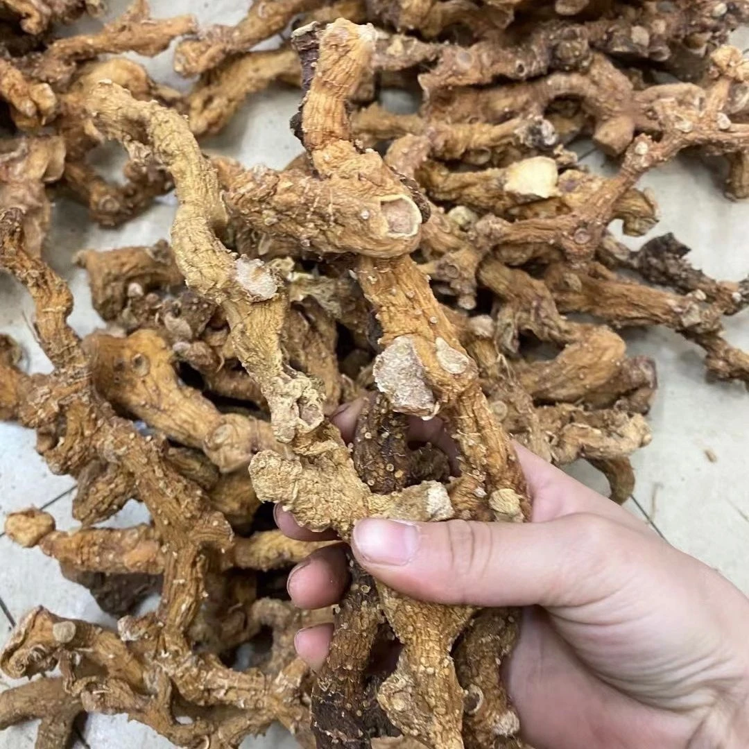 山姜干农户现收山姜晒干