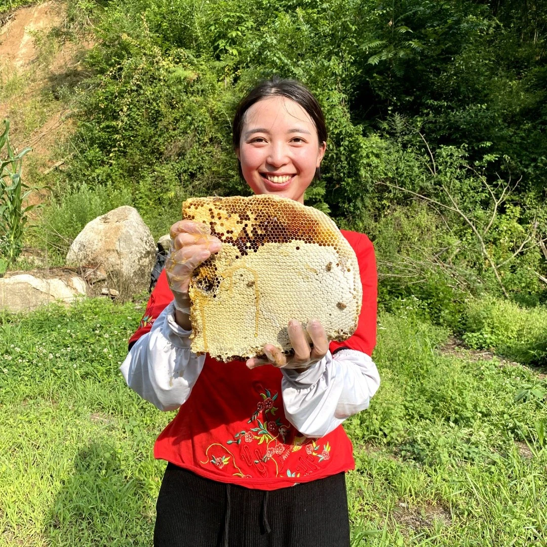 (蜂巢蜜)秦岭深山木桶土蜂蜜蜂农自产自销现取现榨百花蜜500g盒