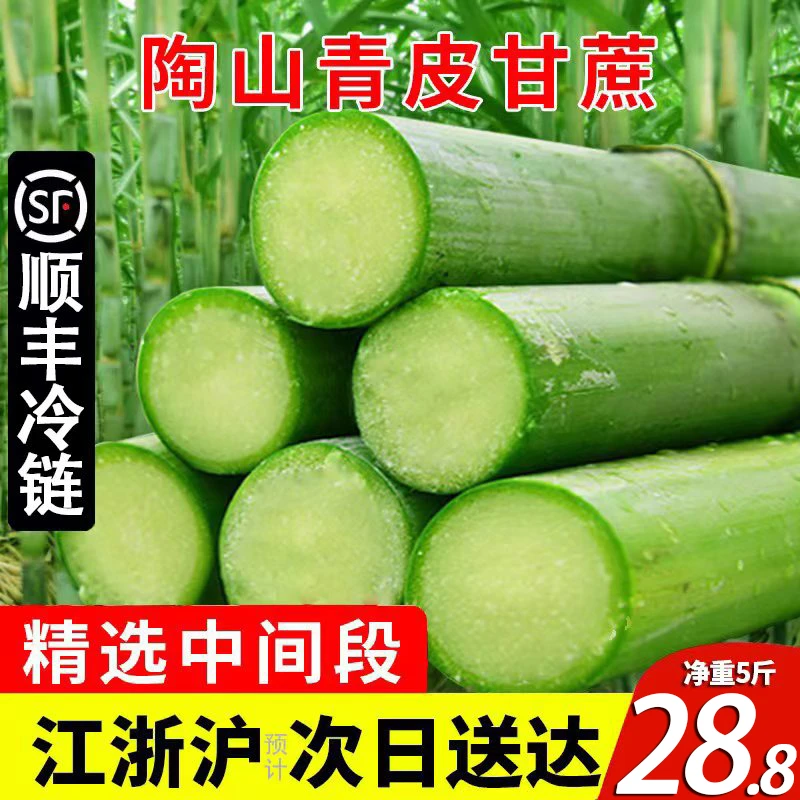 顺丰陶山甘蔗现货青皮绿皮甘蔗孕妇新鲜水果应季果蔗现砍发脆甜蔗