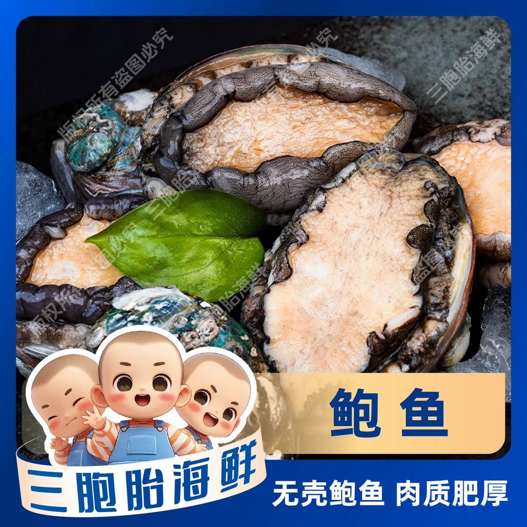【顺丰发货】①新鲜活冻鲍鱼 方便食用美味海鲜(10头鲍)32只左右/包