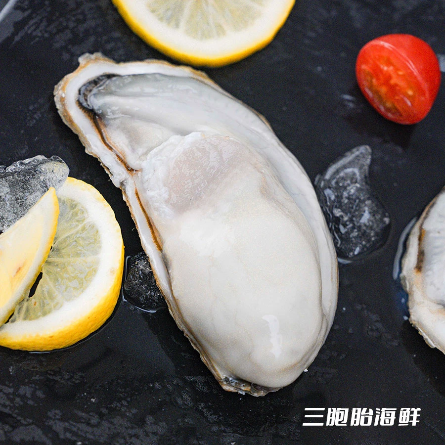 【精选特大】④鲜活水产特大生蚝 肉质饱满 半斤一个 2个/斤到手5斤