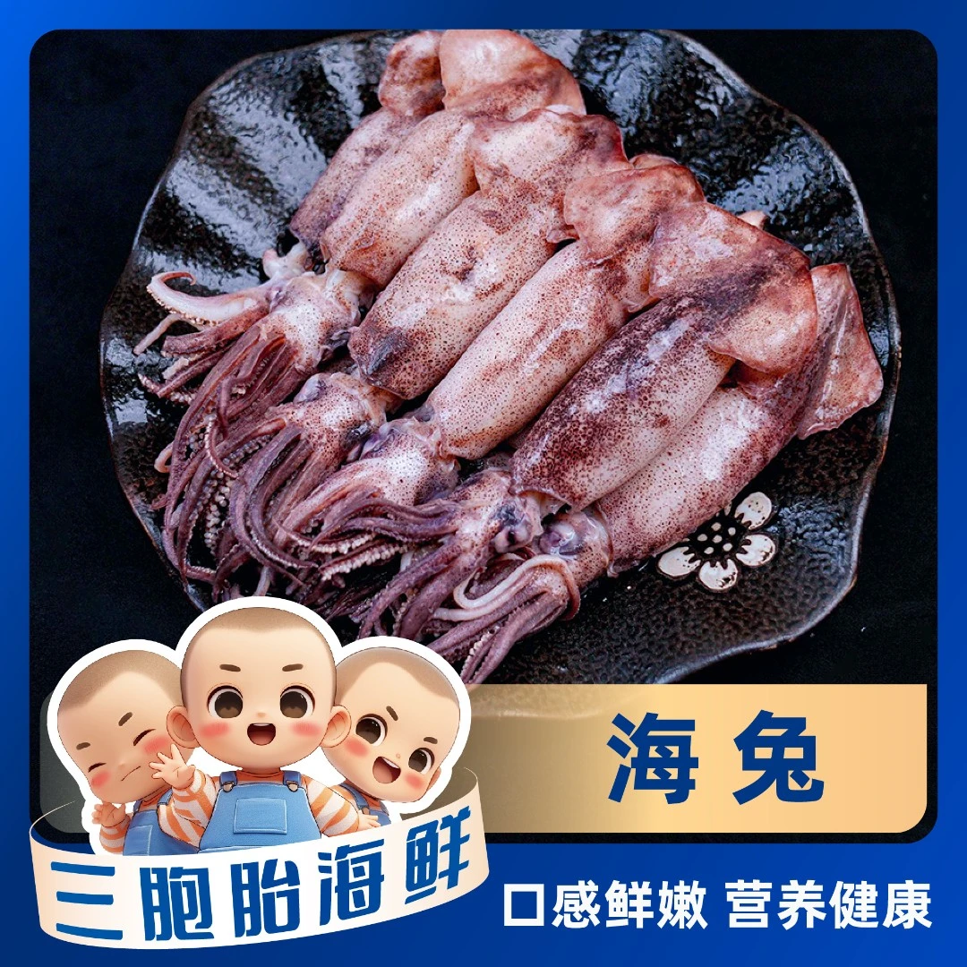 【顺丰发货】①新鲜美味全籽海兔 红烧白灼 10只/包 *5包（总共50只）