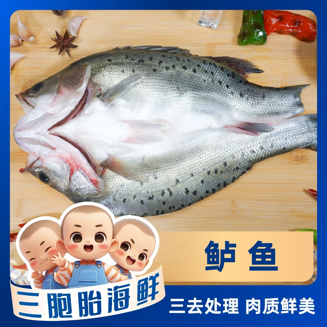 【海鲜日记】新鲜开背鲈鱼 肉质鲜嫩  含保护冰500-600g左右/条*5条