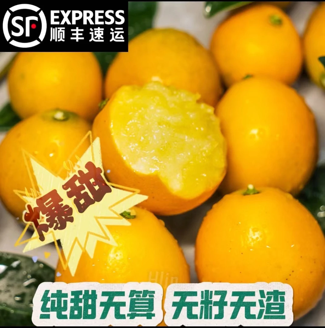 【第三代】广西融安脆蜜金桔金柑纯甜金桔新鲜带皮吃水果现摘现发