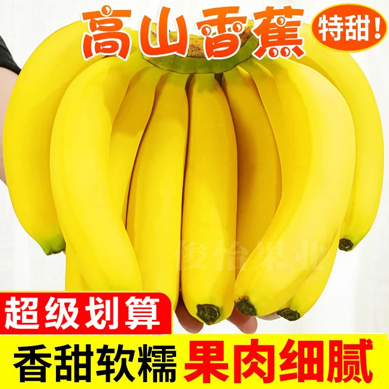 【俊怡果业】广西高山甜香蕉当季新鲜水果产地发新鲜粉蕉甜糯5/9斤