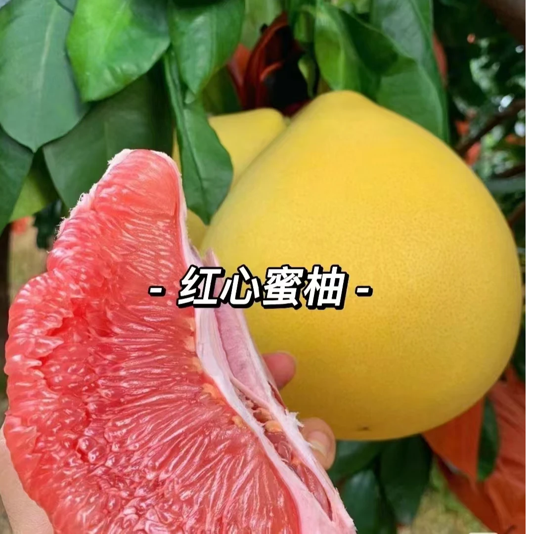 【市场直发】红心柚子2个