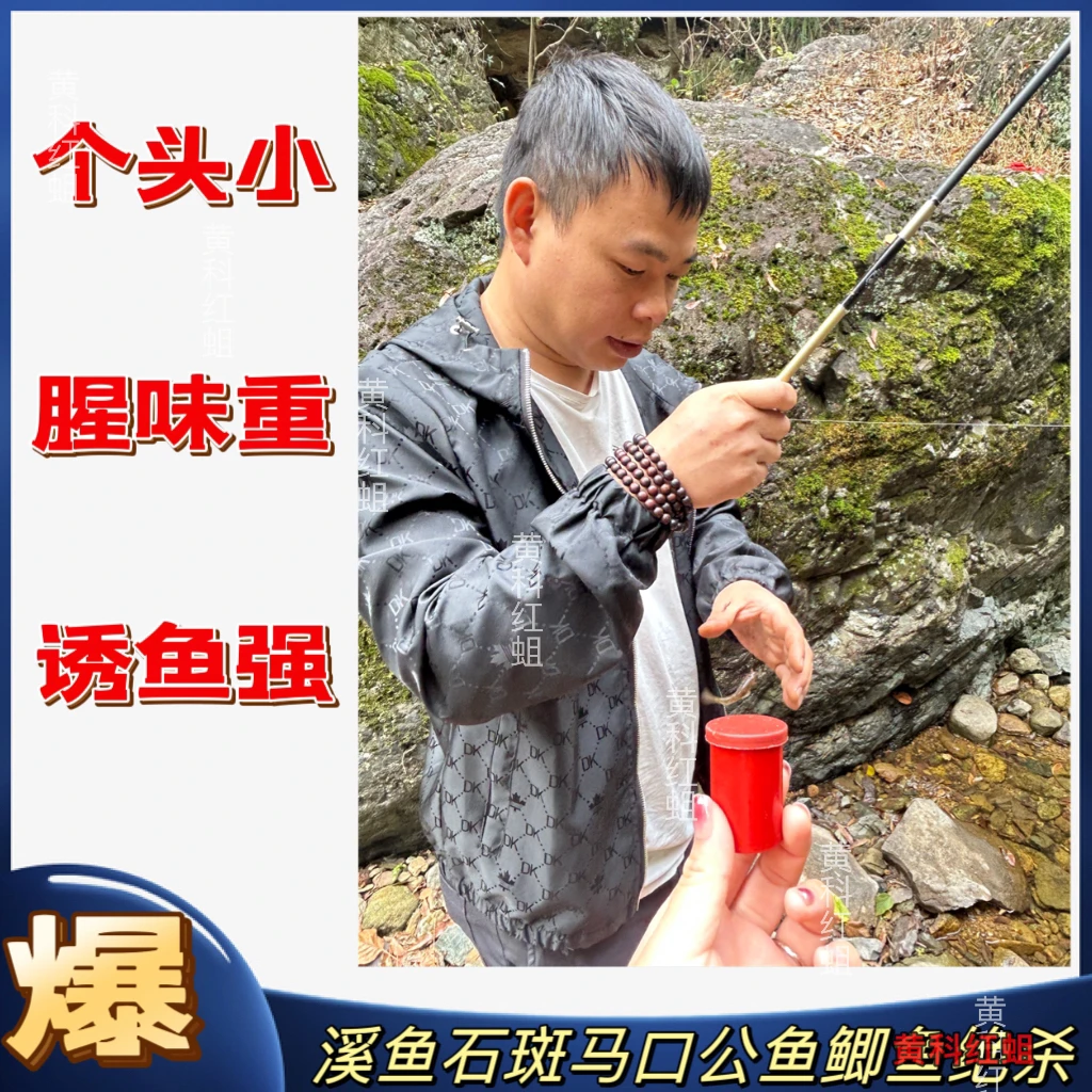 红蛆虫钓鱼活饵强效诱鱼溪鱼马口石斑专用鱼饵