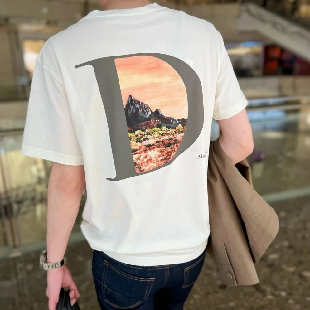 全新未使用 DIOR/迪奥 男士白色胸口logo刺绣T恤舒适透气夏季