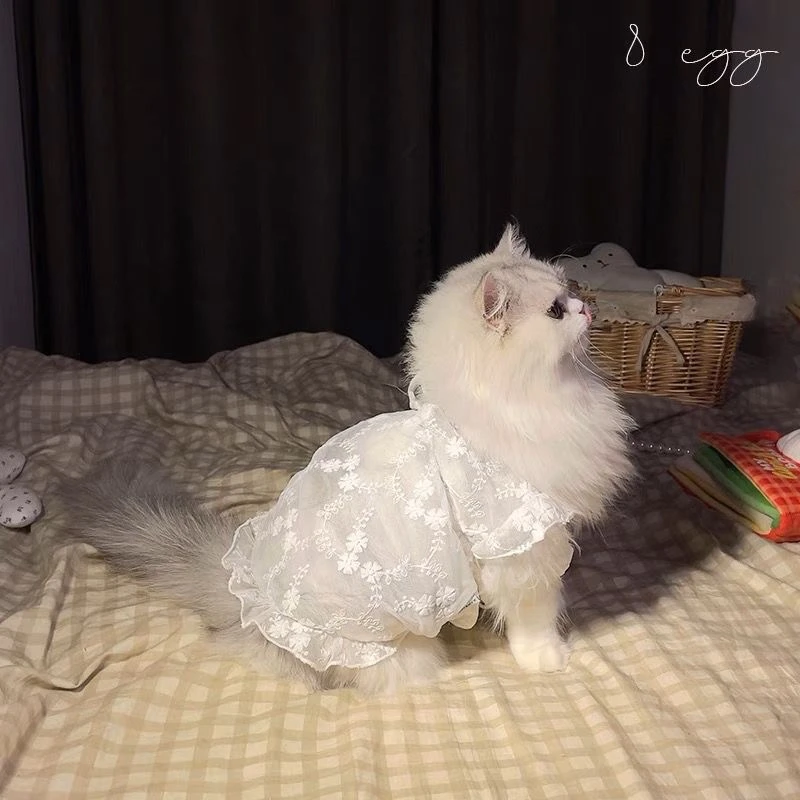 蕾丝防晒连衣裙子夏季薄款狗狗猫咪衣服泰迪马尔济斯柯基中小型犬