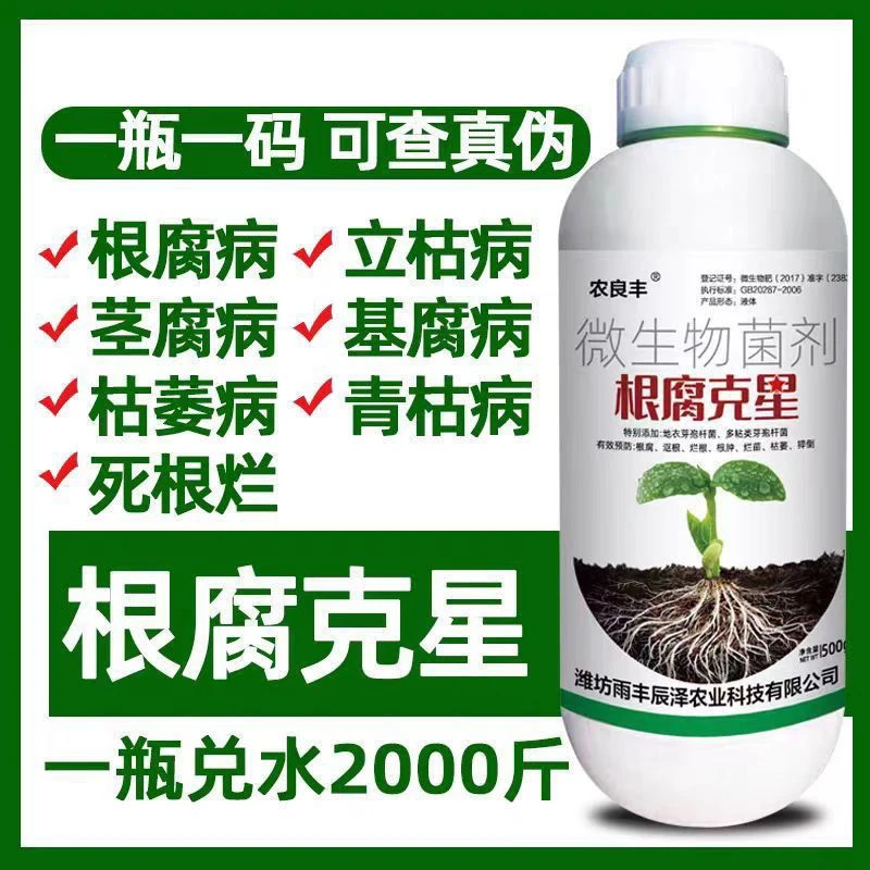 根腐克星死苗根腐病烂根专用壮苗生根芽孢水溶枯草微生物菌剂杆菌