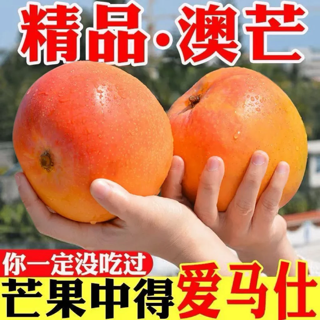 【放软后食用】爆甜多汁新鲜澳芒采摘苹果芒香甜鲜美肉嫩产地直发AM